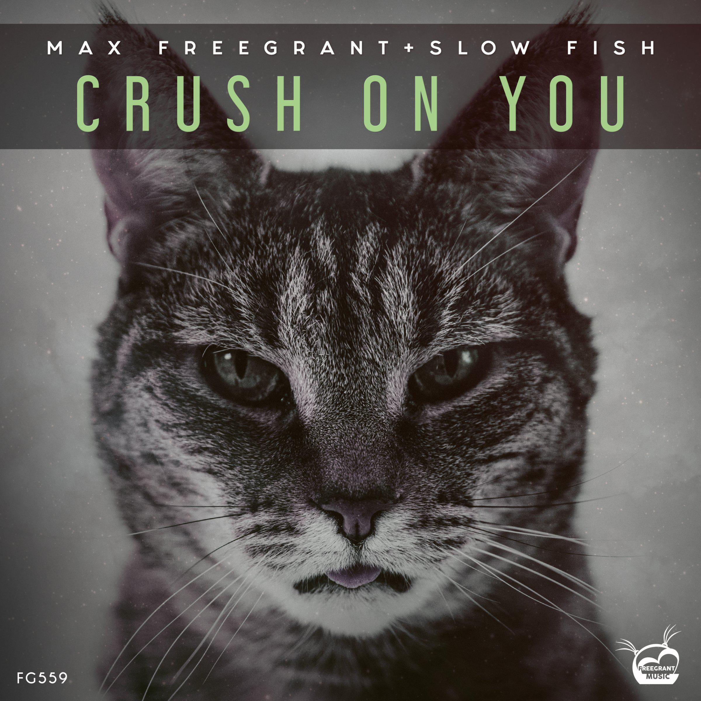 Max Freegrant - Crush On You (Extended Mix)