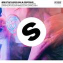 Sweet Dreams (feat. Kaleena Zanders) [Dropgun & Sugar Mode Euro Dance Mix]专辑
