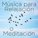 Musica para Relajación o Meditación: 30 Canciones专辑