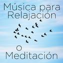 Musica para Relajación o Meditación: 30 Canciones专辑