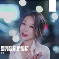 赵洋-爱我是你说的谎(DJ伟然版)