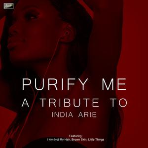 India Arie - Steady Love （降8半音）