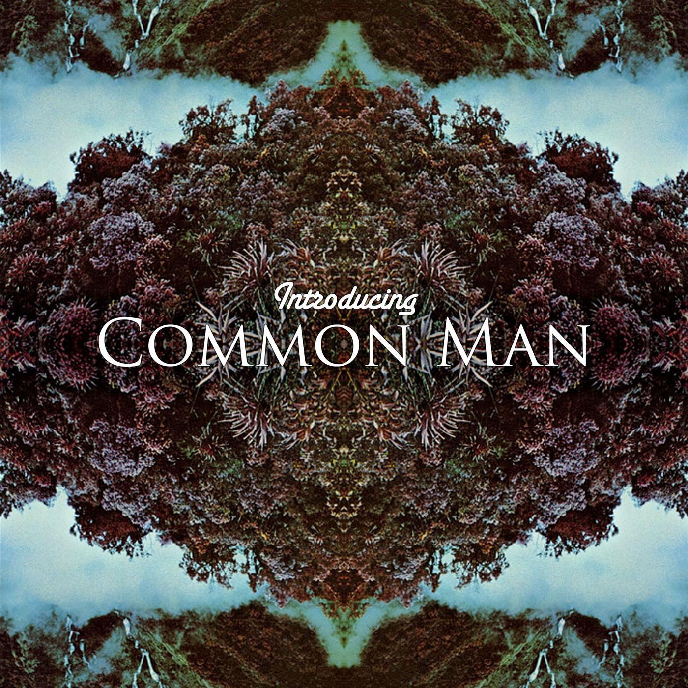 Introducing Common Man
