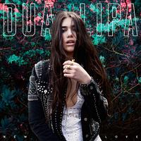 New Love - Dua Lipa (unofficial Instrumental) 无和声伴奏