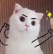 a站弱鸡鶸鶸歌单