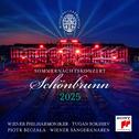 The Nutcracker: Waltz of the Flowers专辑