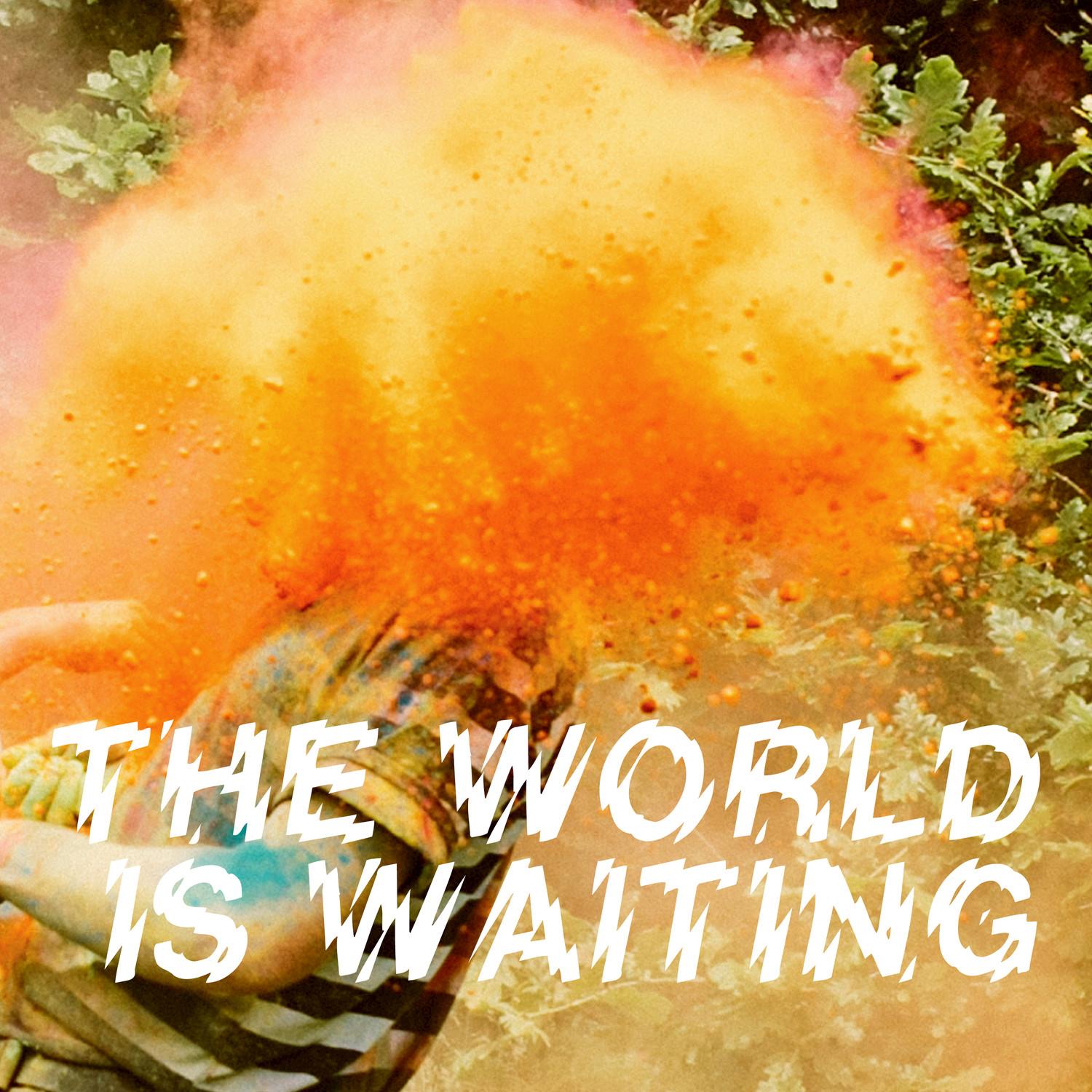 The World Is Waiting - Single