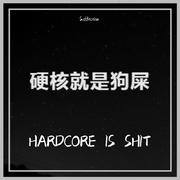 HARDCORE IS SHIT(Feat.李仲存)