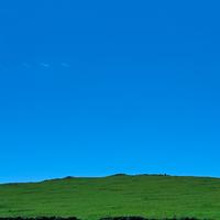 我的夏天是一场绿意交错的梦境