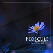 Floscule