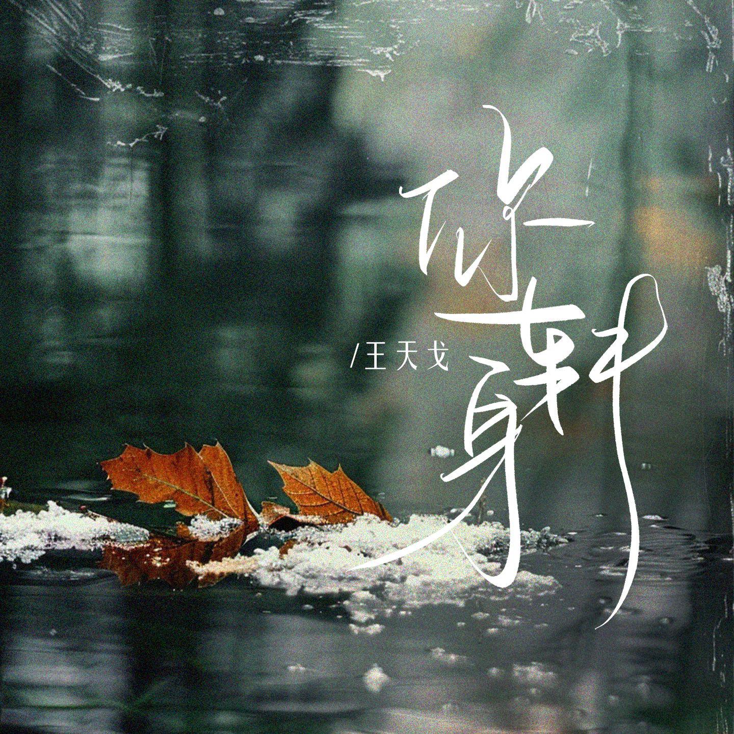王天戈歌曲封面