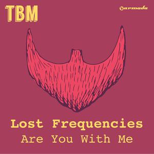 Are You with Me - Lost Frequencies (karaoke) 带和声伴奏