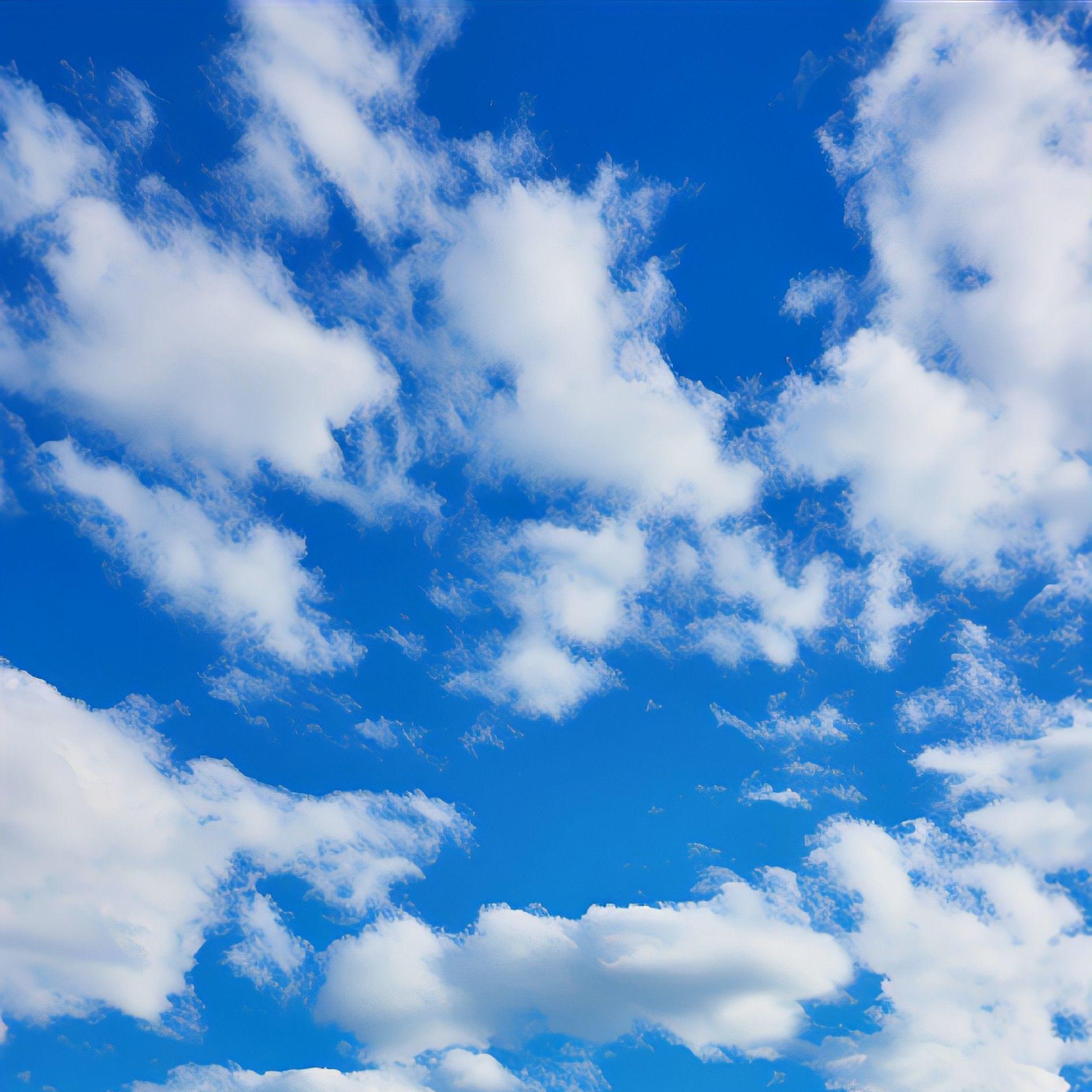 思念是一把刀（热播版）