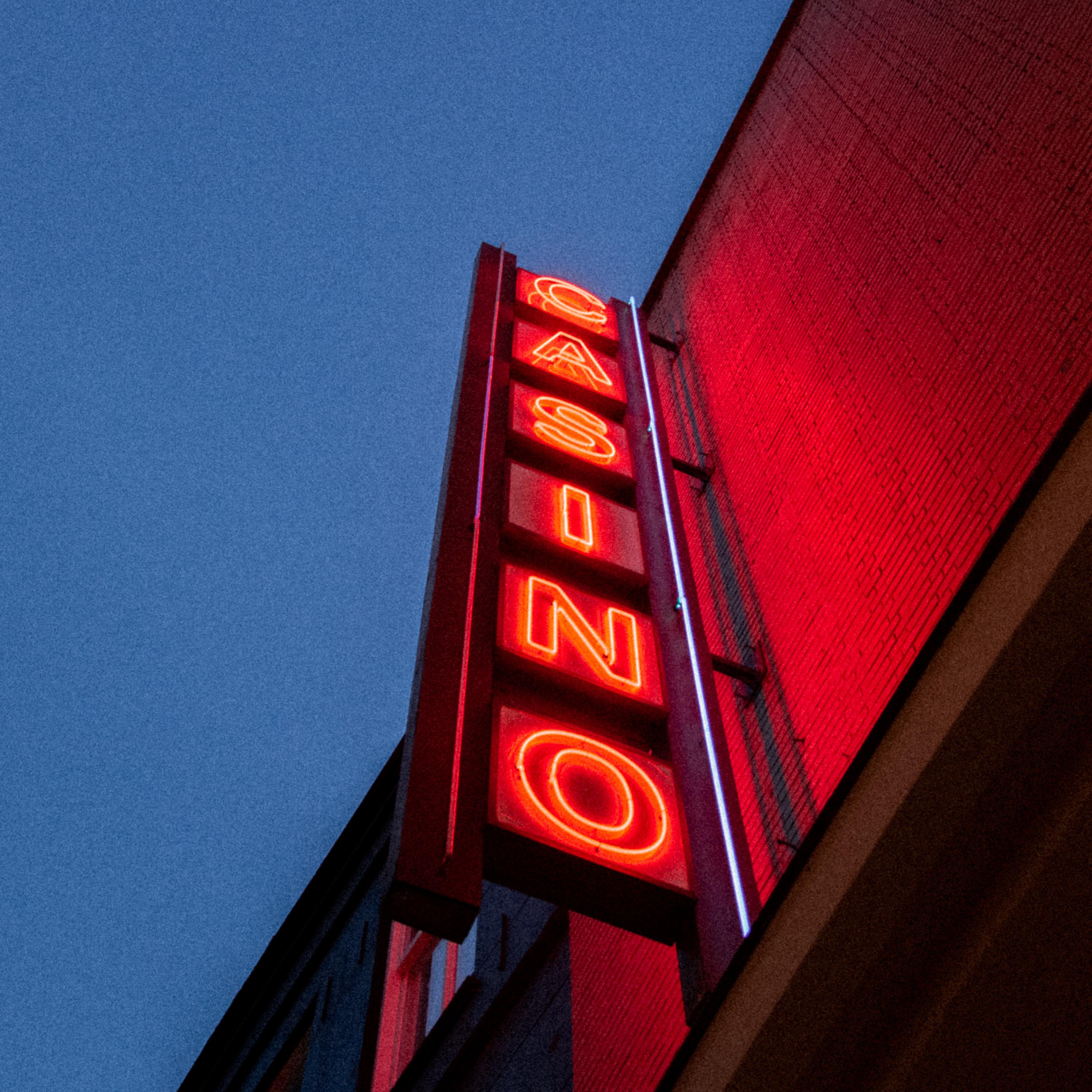 The Neon Lights