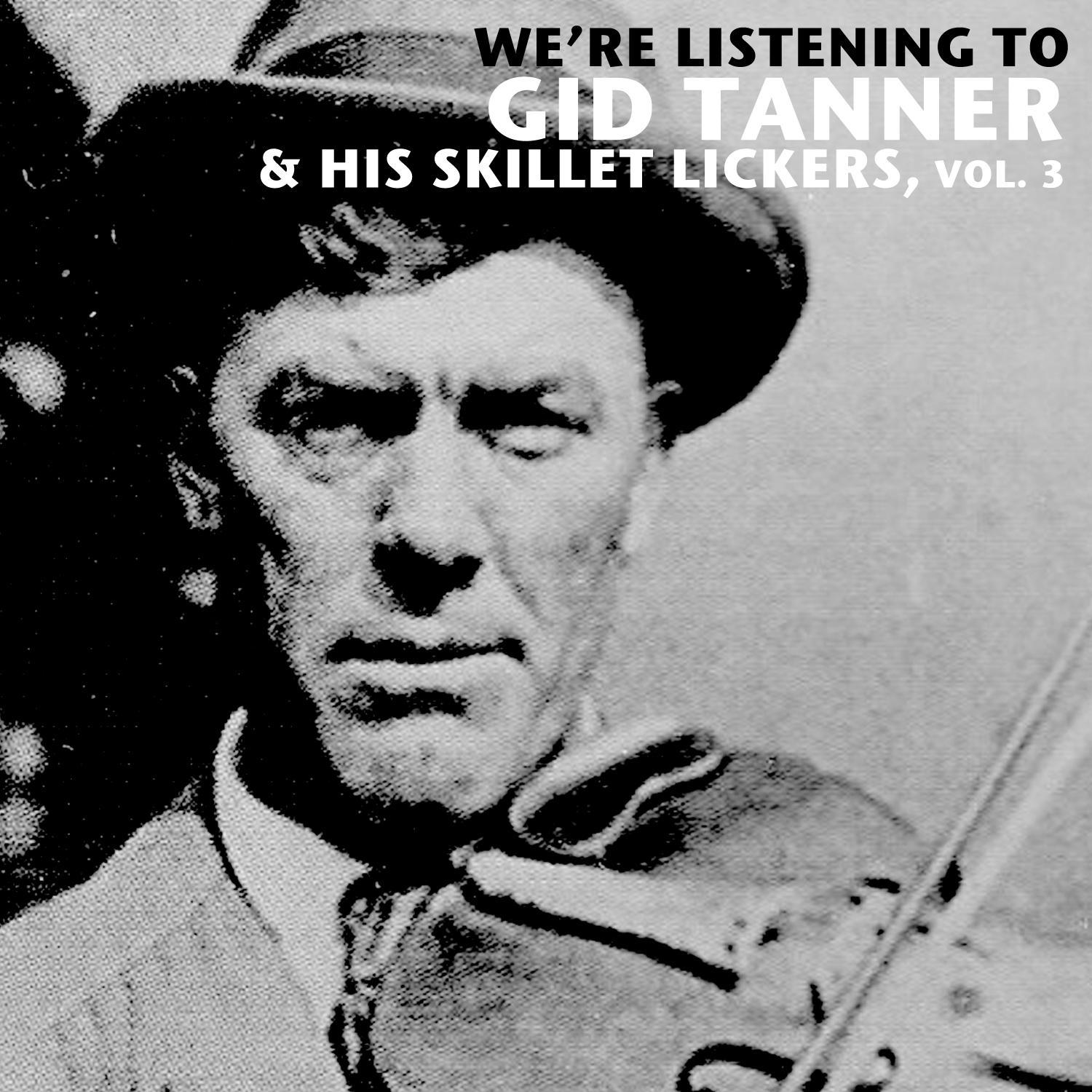 We're Listening to Gid Tanner & His Skillet Lickers, Vol. 3