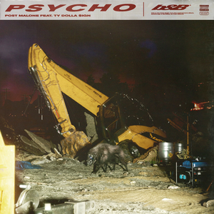 Psycho - Post Malone ft. Ty Dolla $ign (PT Instrumental) 无和声伴奏