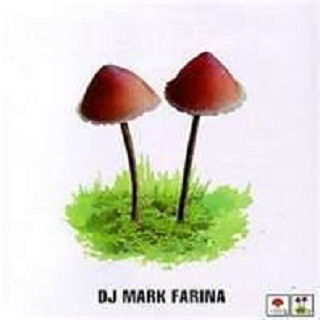 Mushroom Jazz, Vol. 2