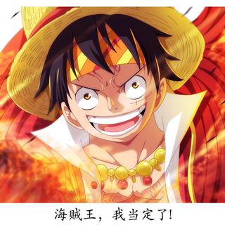 海贼王，我当定了！