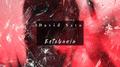 Estebania专辑