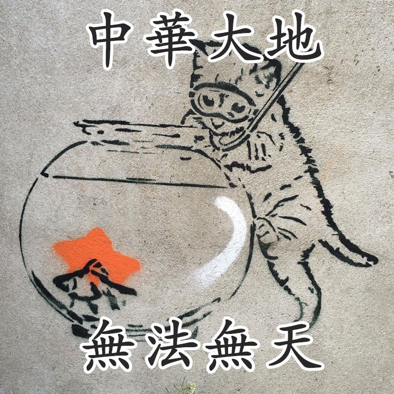 葫芦娃大战变形金刚