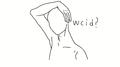 WCID专辑