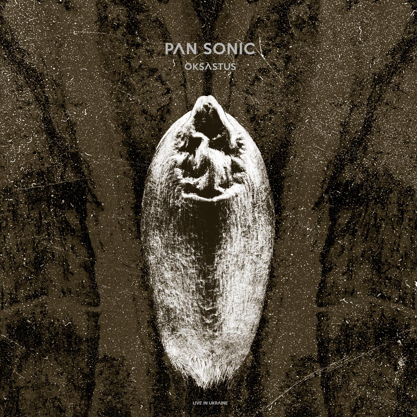 Pan Sonic - 5'41