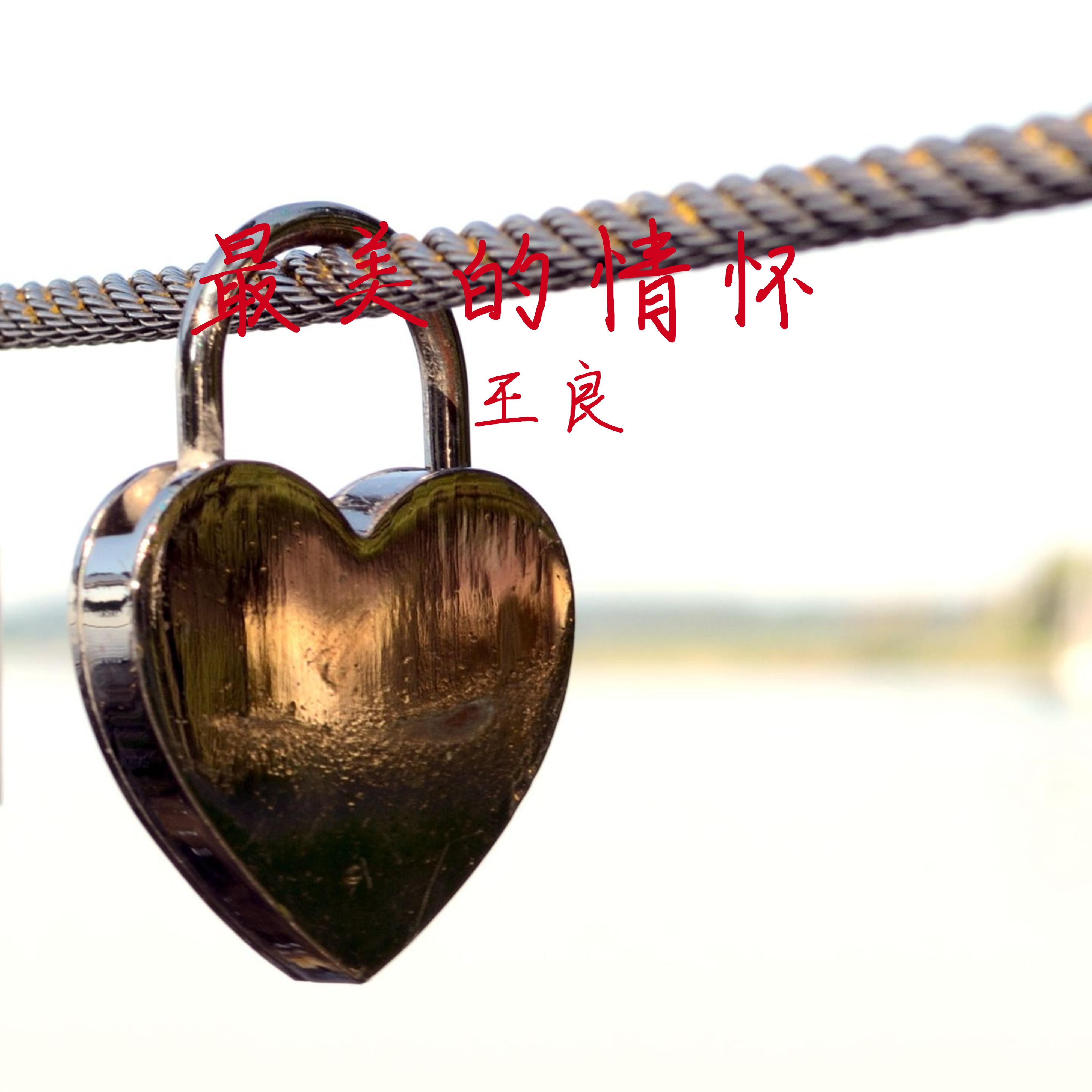最美的情怀