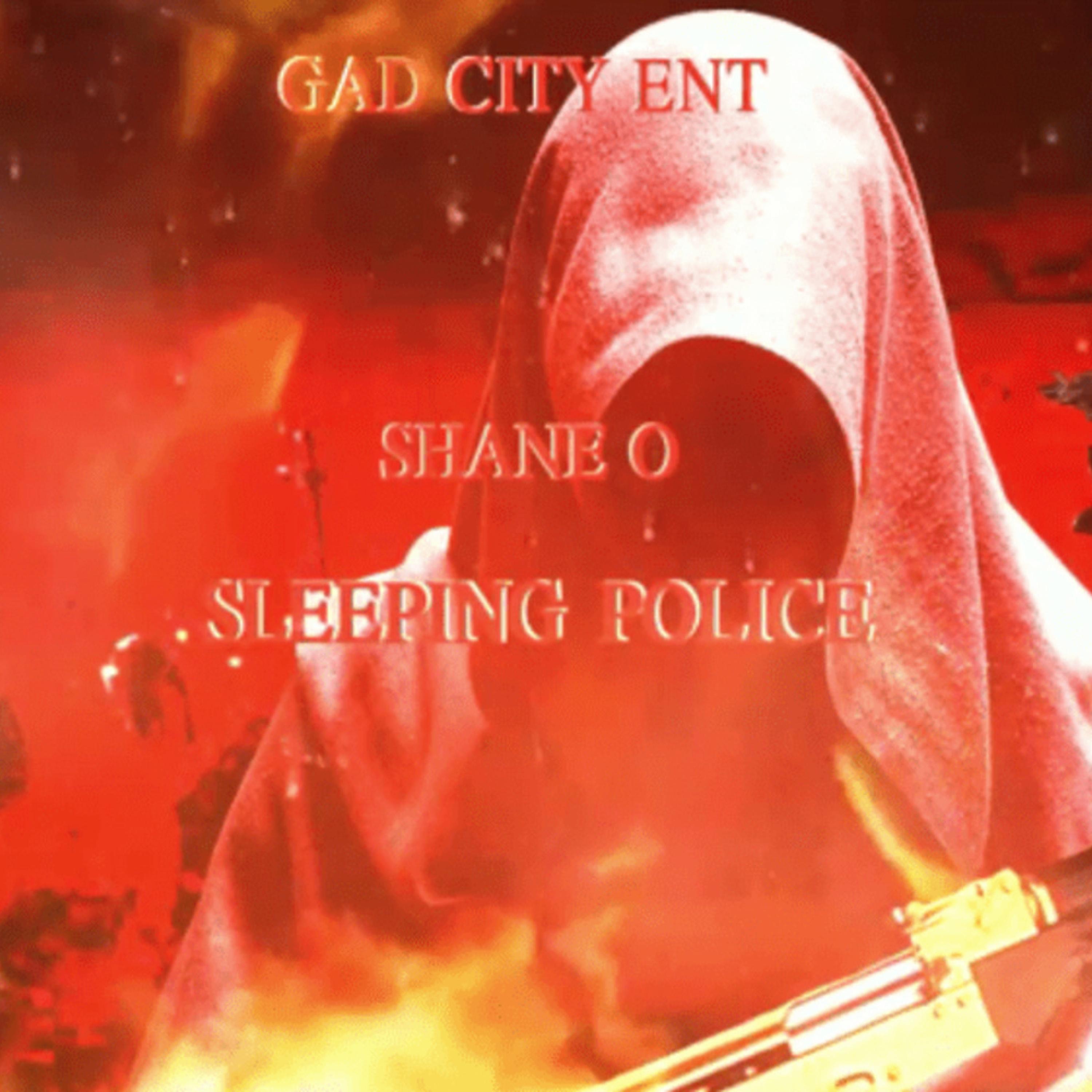 SLEEPING POLICE