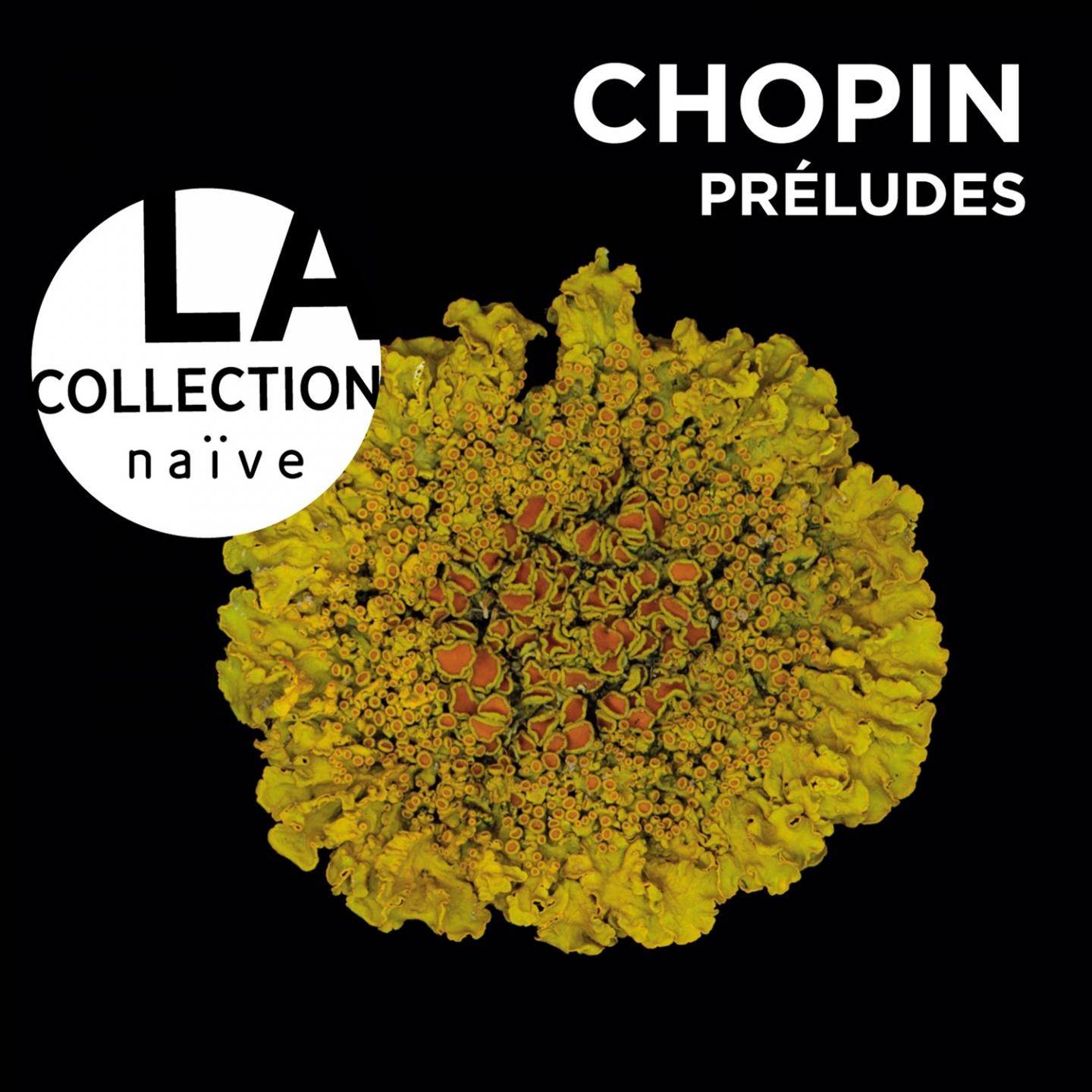 Prelude No 15 in D flat Major, Op. 28: Sostenuto