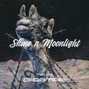 SHINE A MOON LIGHT专辑