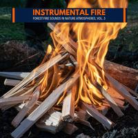 Instrumental Fire - Forest Fire Sounds in Nature Atmospheres, Vol. 3
