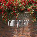 cant you see