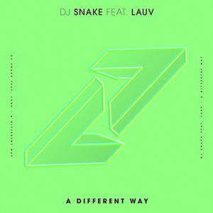 Dj Snake&Lauv-A Different Way  立体声伴奏