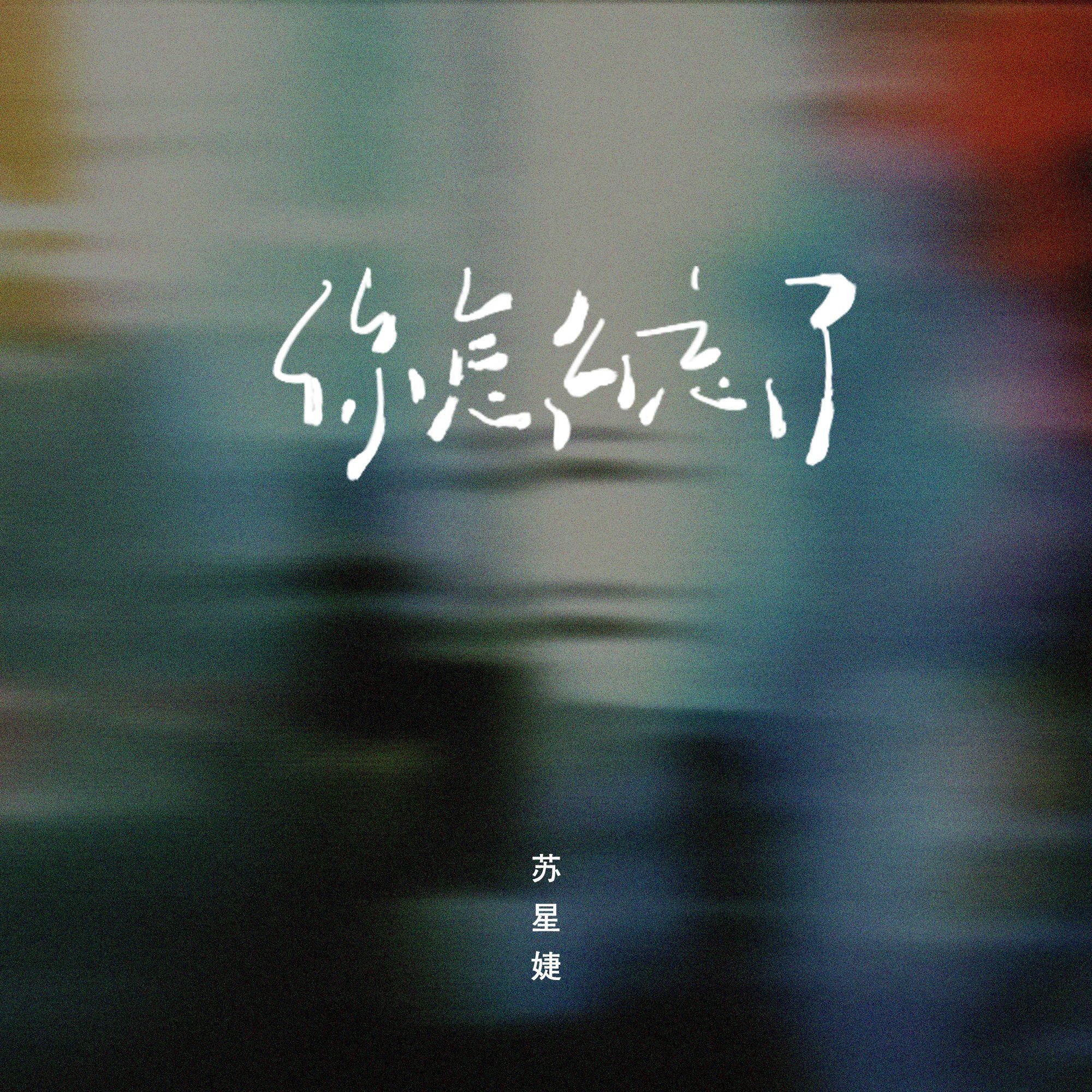 你怎么忘了 (0.8x)
