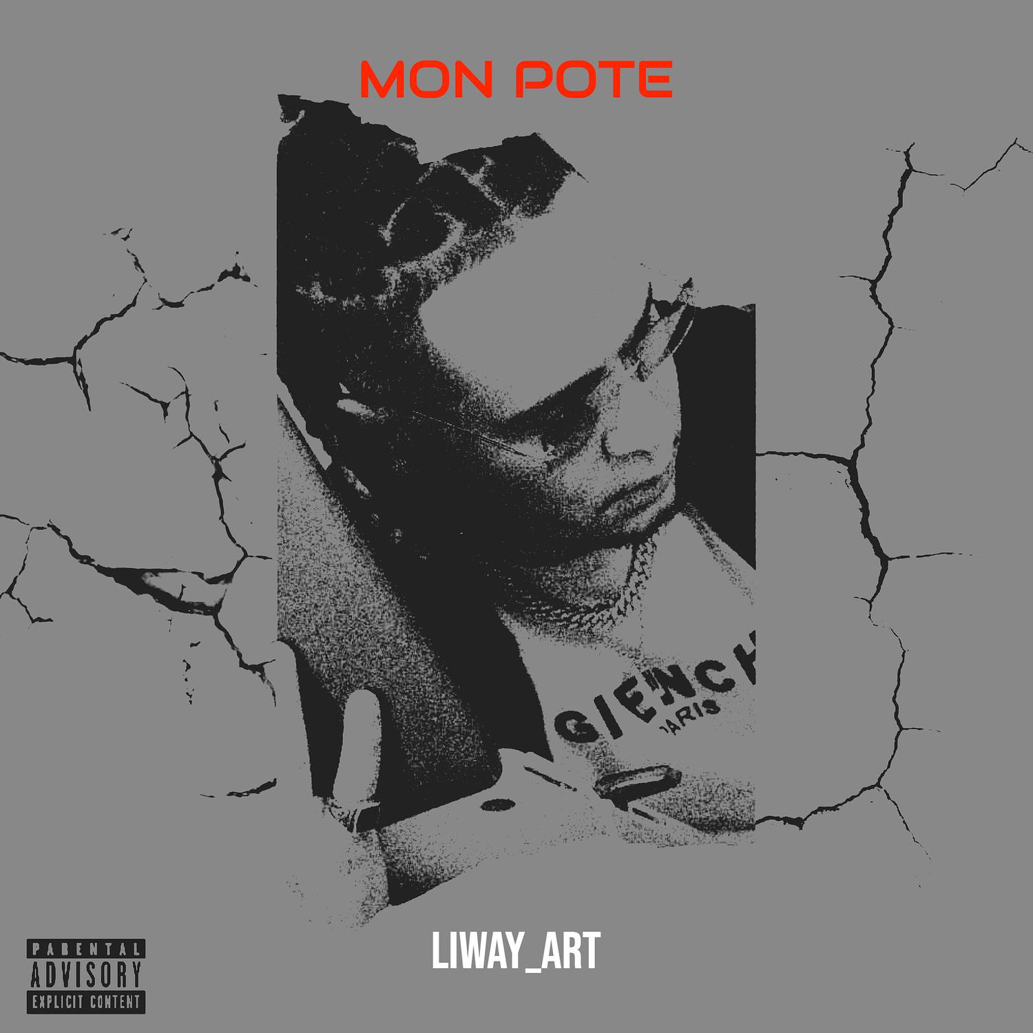 Liway_art - MON POTE