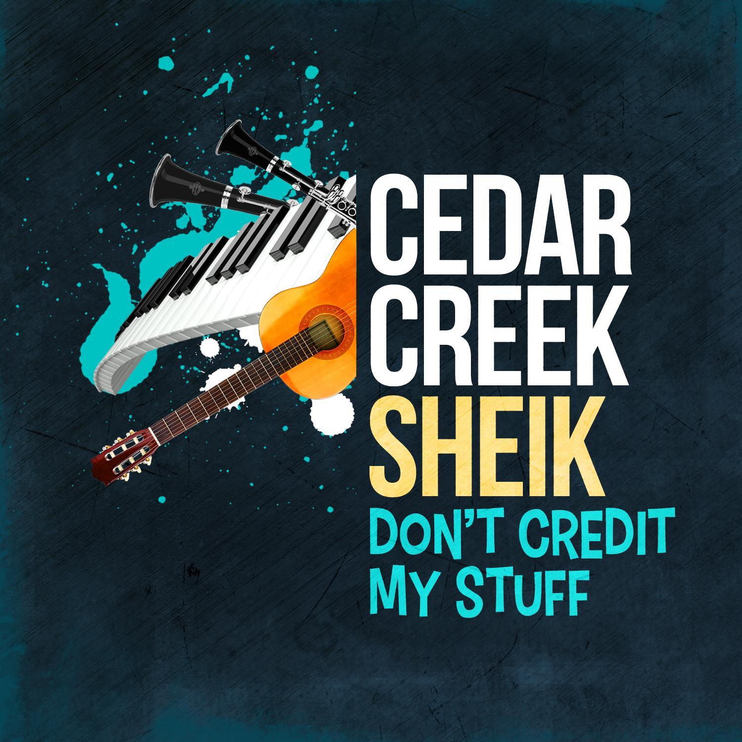 Don't Credit My Stuff