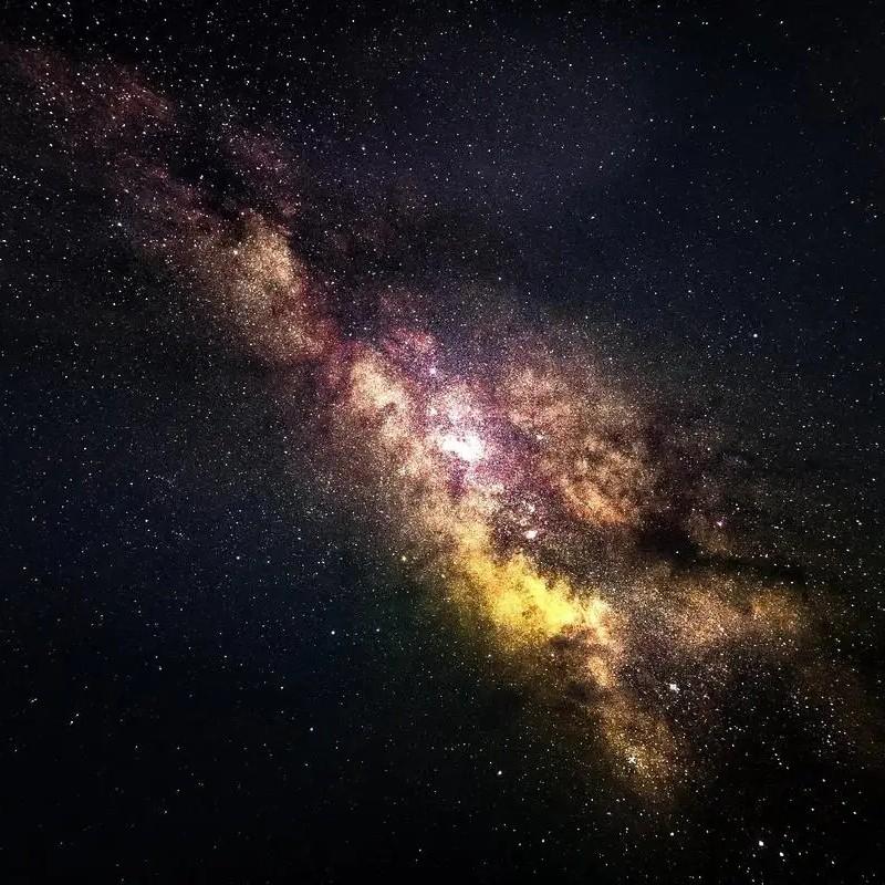 My neighbors think I'm crazy