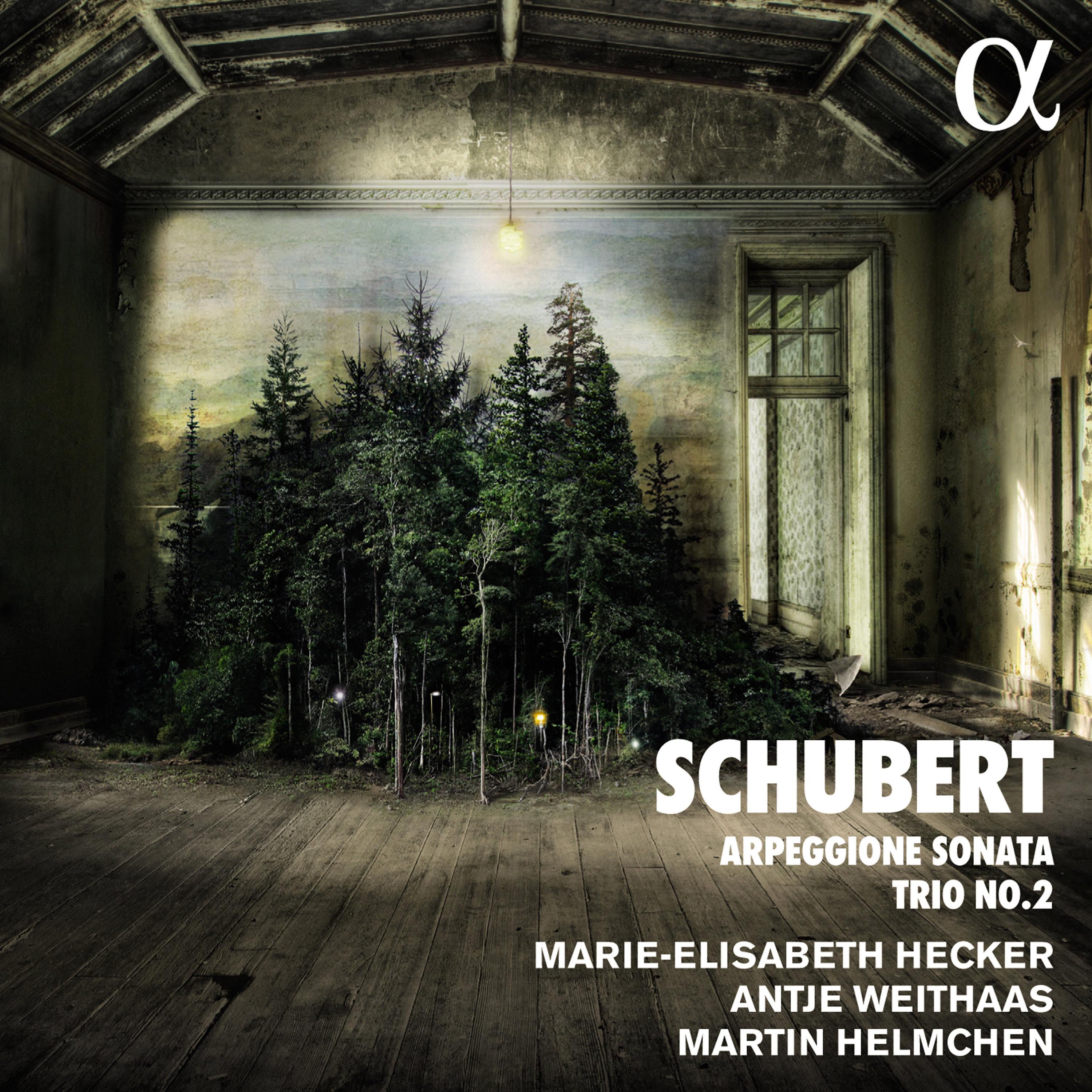 Schubert: Arpeggione Sonata & Trio No. 2