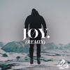 JOY. - High (JOY Remix)