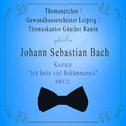 Thomanerchor / Gewandhausorchester Leipzig / Thomaskantor Günther Ramin spielen: Johann Sebastian Ba专辑