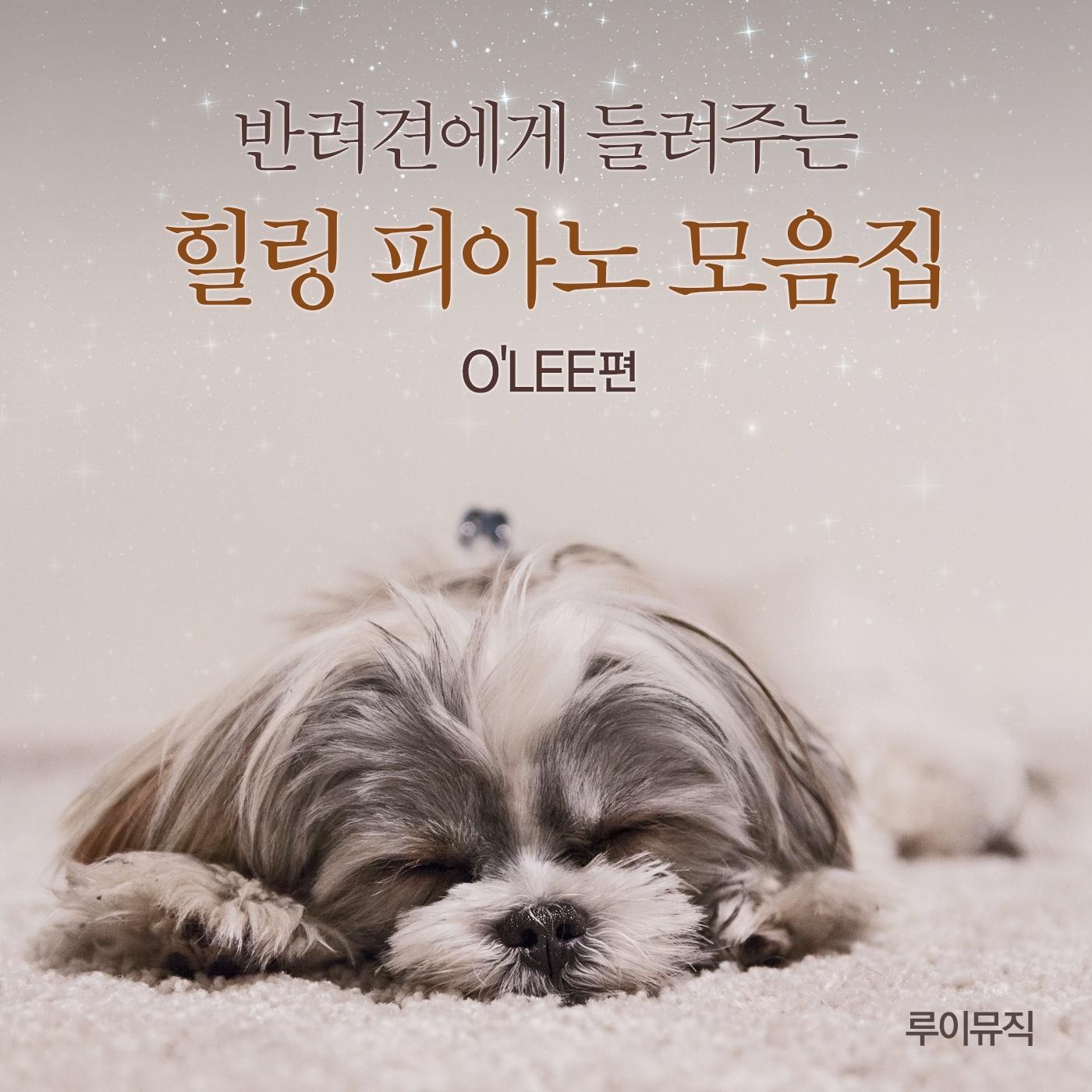 반려견에게 들려주는 힐링 피아노 모음집 O'Lee 편