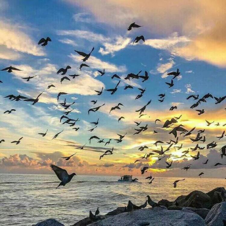 Vicetone-Nevada（FPP向阳 / Maga remix）