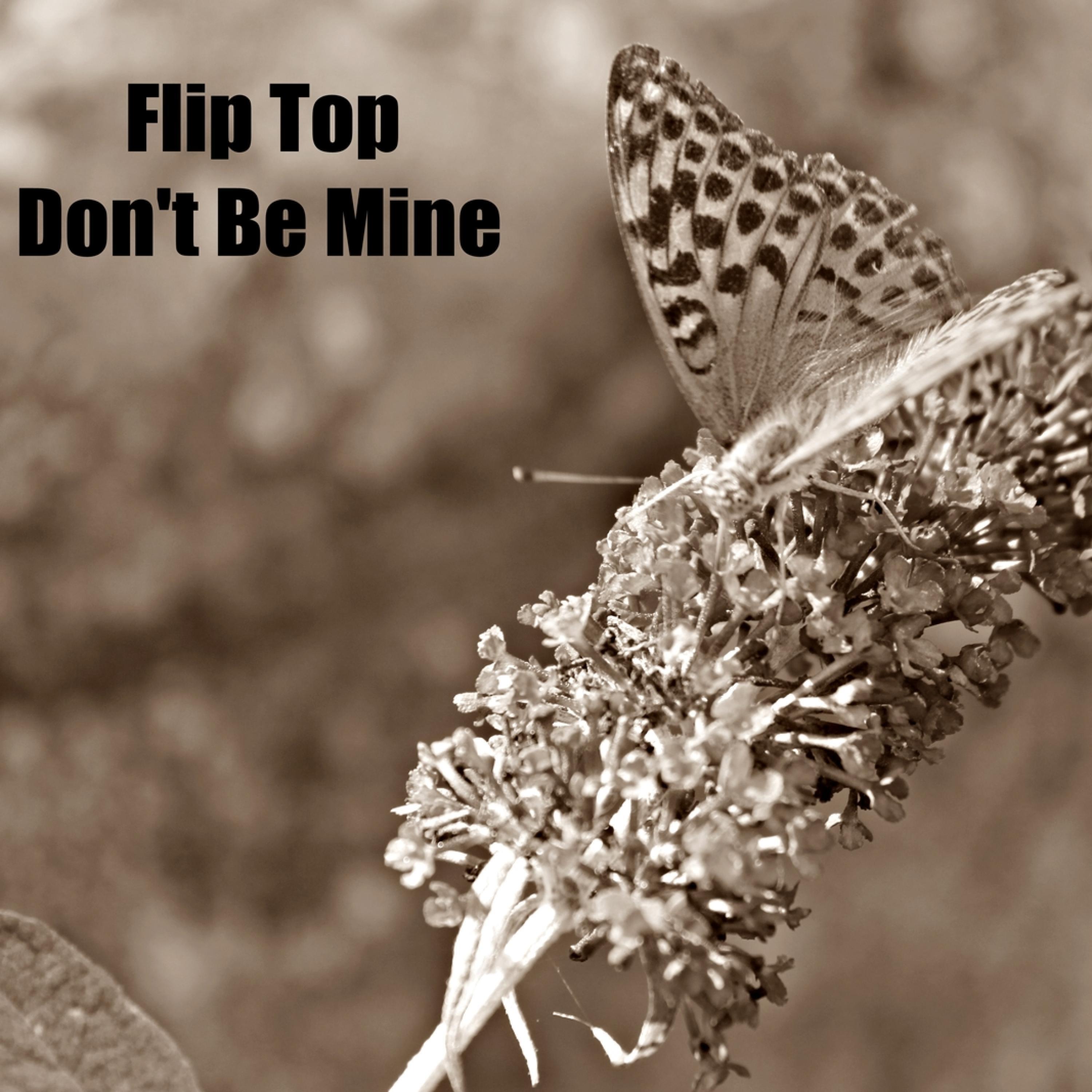 Don't Be Mine