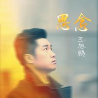 王旭鹏 - 思念(原版立体声伴奏)