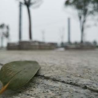 我和你不再联系，不代表我不再想你