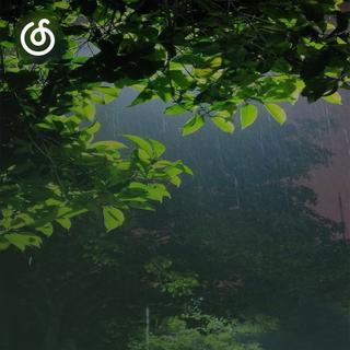 沙发音乐精选|从《大自然轻音乐 (深度睡眠)》听起