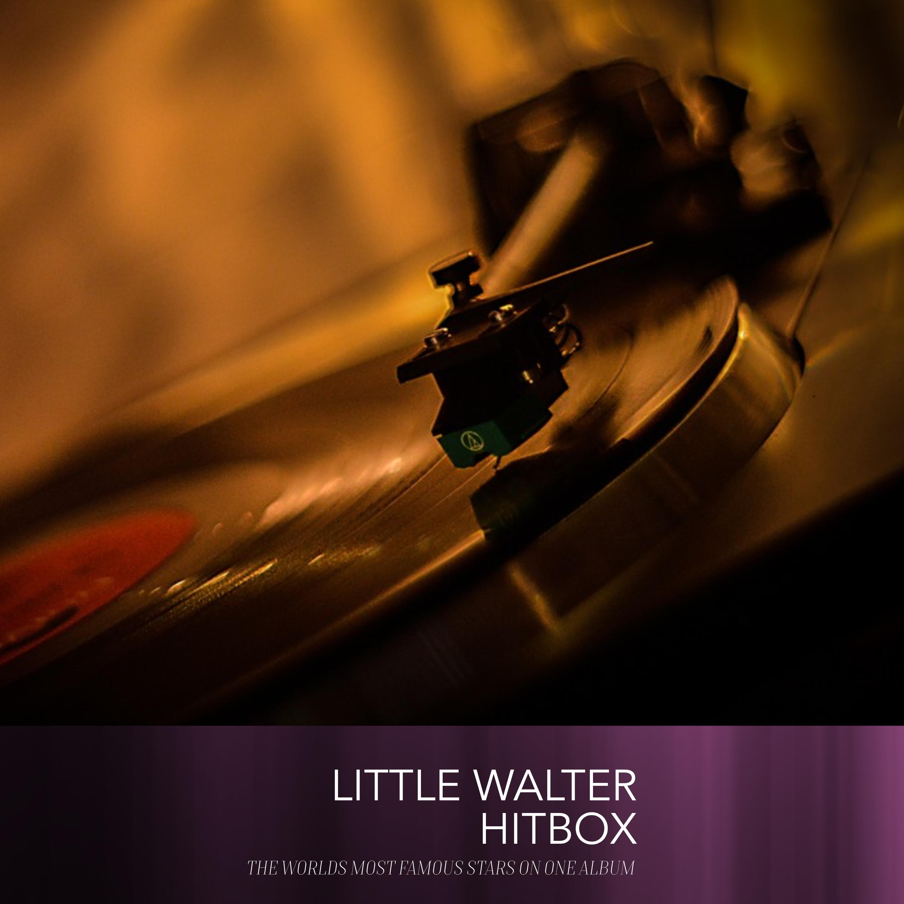 Little Walter Hitbox