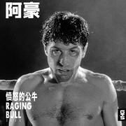 愤怒的公牛 (Raging Bull)