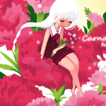 Carnation专辑