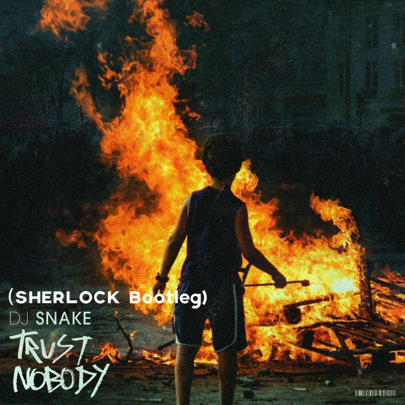 Trust Nobody(Sherlock Booteg)